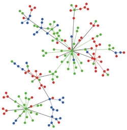Bárabási–Albert network running the voter model.